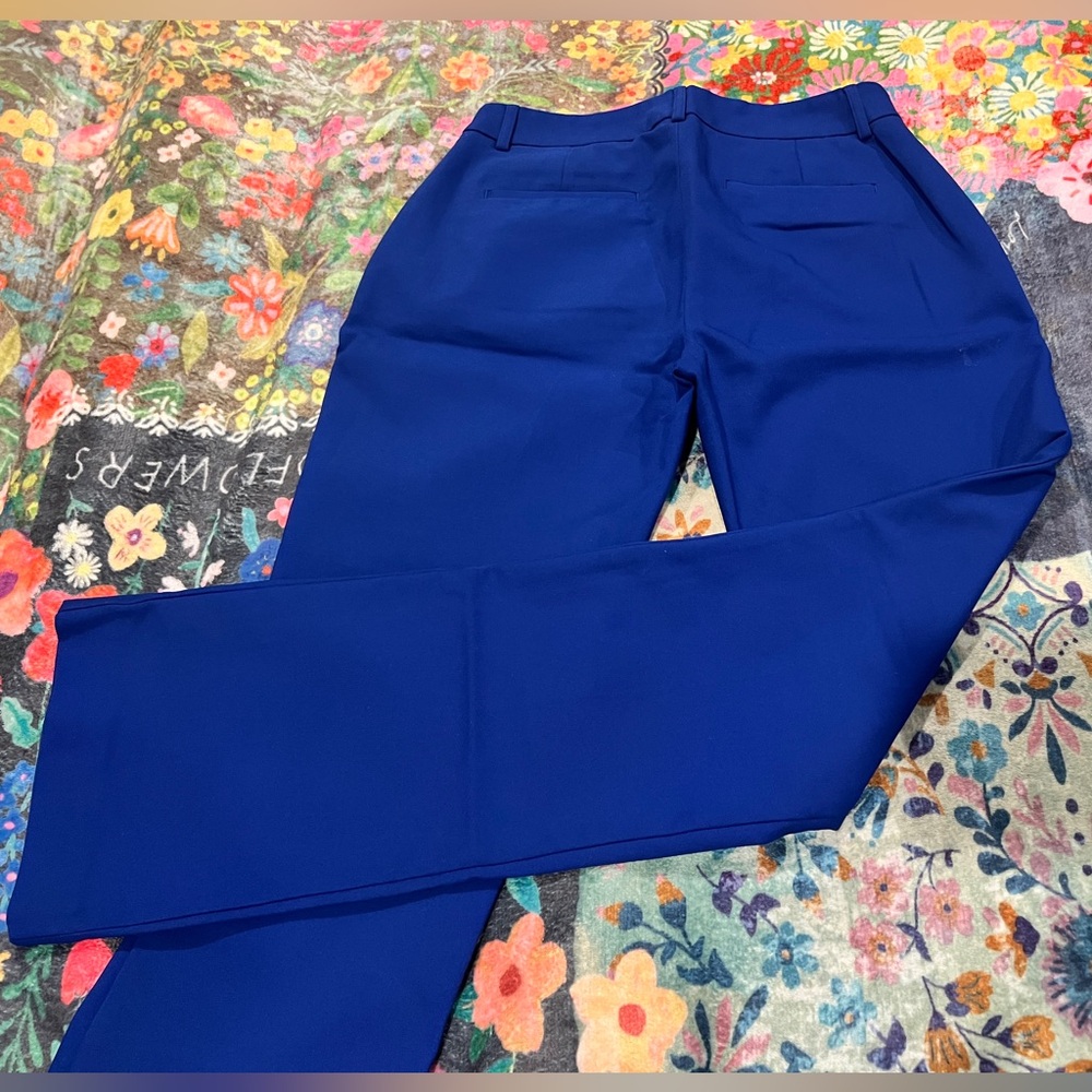 Express Barely Boot Pants in Royal Blue - Picture 8 of 8